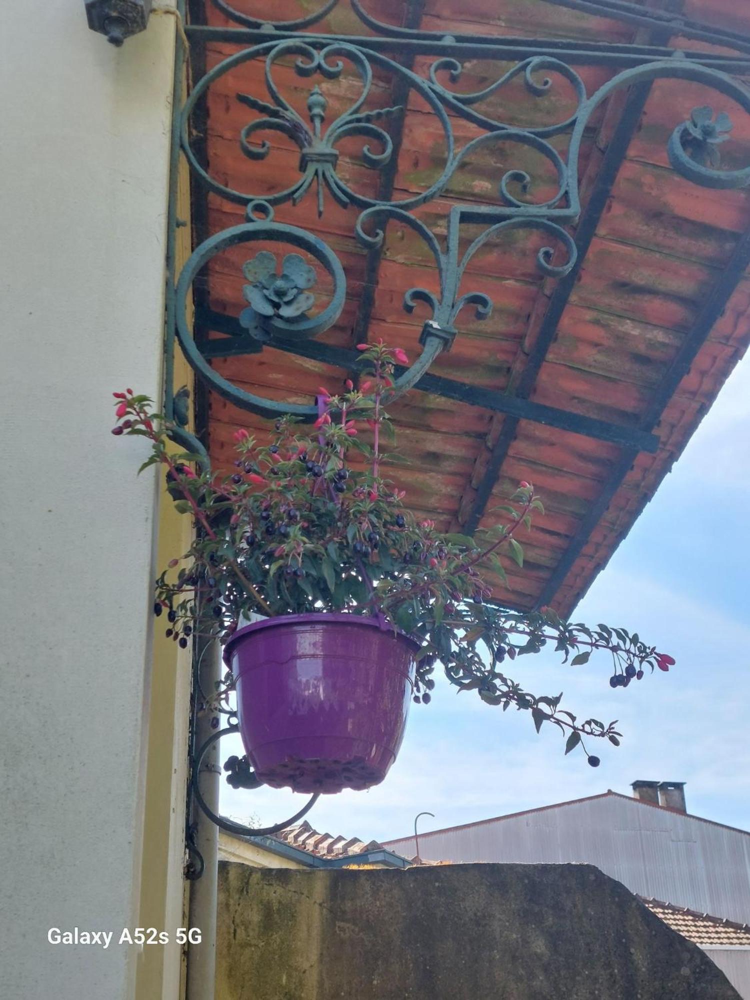 Apartament Casa Portugueza Experience Porto Zewnętrze zdjęcie