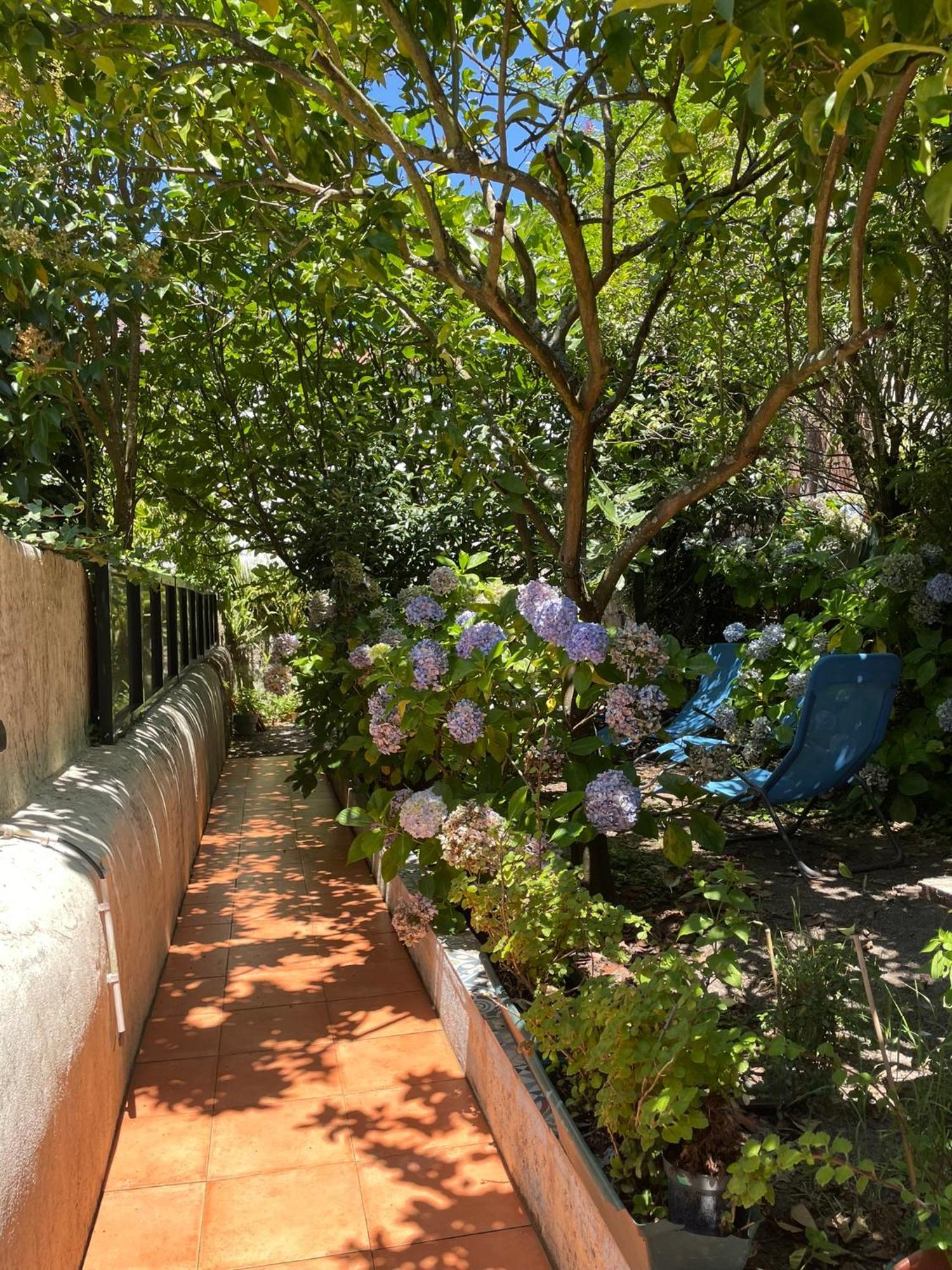 Apartament Casa Portugueza Experience Porto Zewnętrze zdjęcie